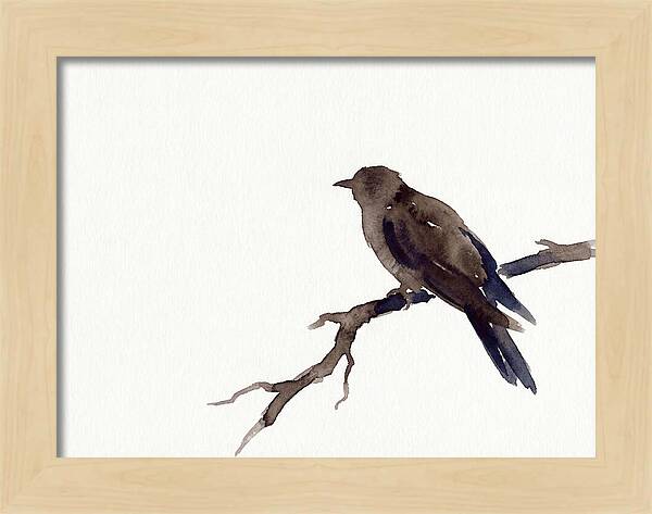 Cuckoo Resting Among Leaves
