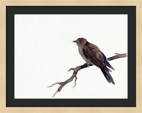 Cuckoo Resting Among Leaves