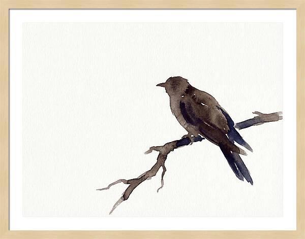 Cuckoo Resting Among Leaves