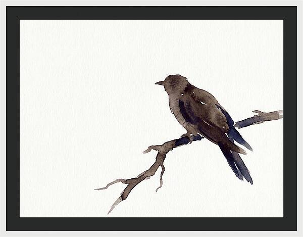Cuckoo Resting Among Leaves