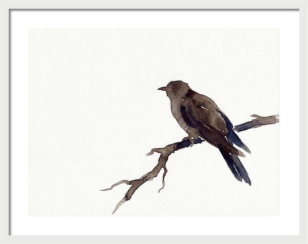 Cuckoo Resting Among Leaves