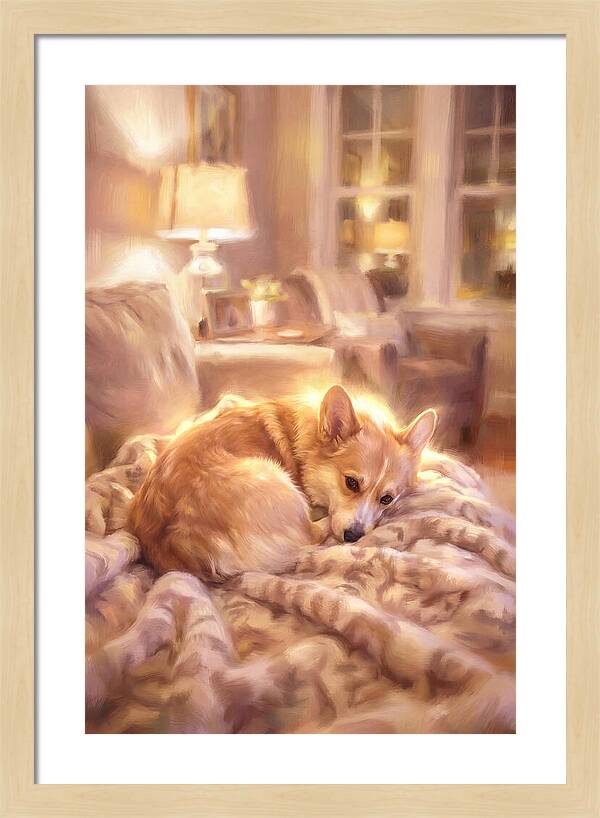 Cuddly Corgi In Warm Glow