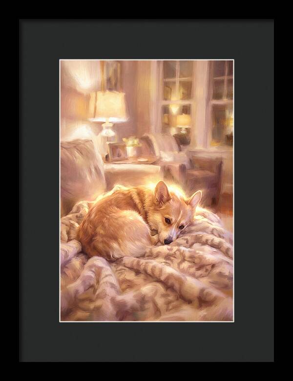 Cuddly Corgi In Warm Glow