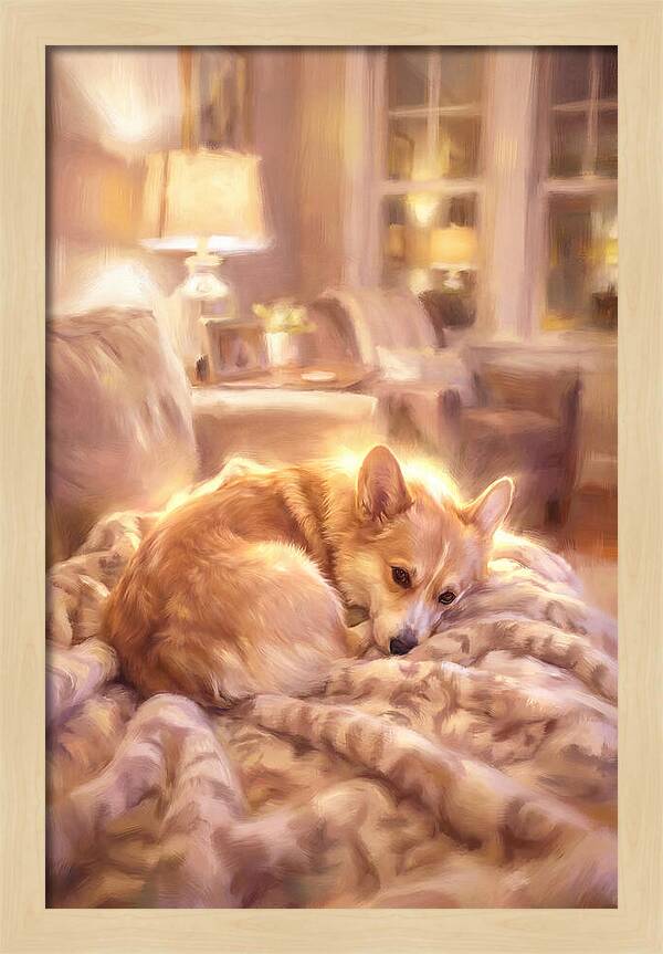 Cuddly Corgi In Warm Glow