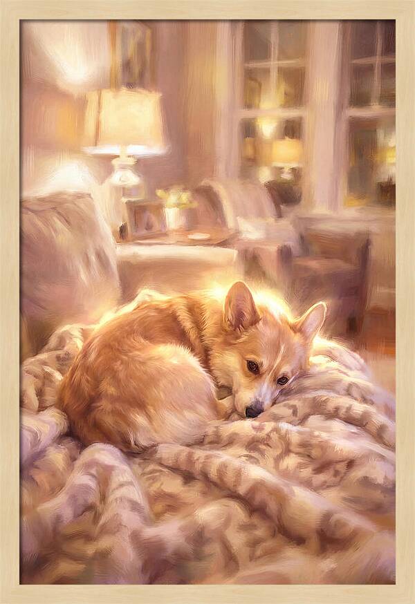 Cuddly Corgi In Warm Glow