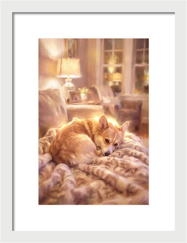 Cuddly Corgi In Warm Glow