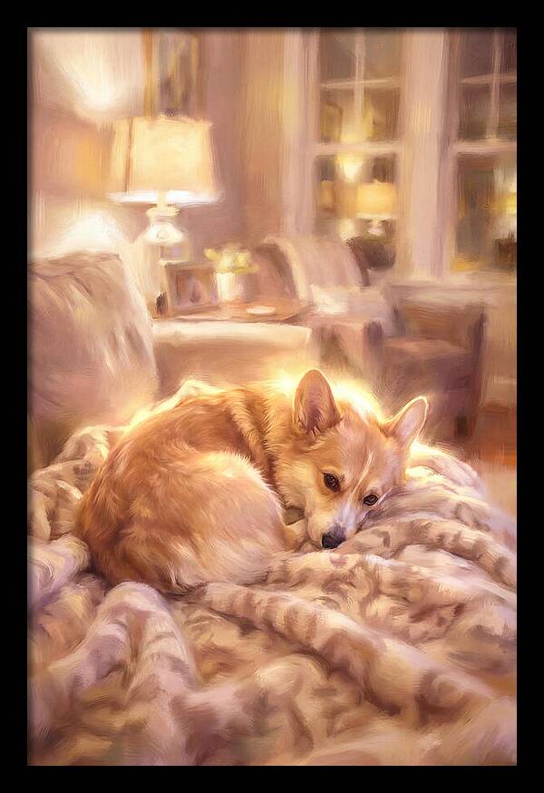 Cuddly Corgi In Warm Glow