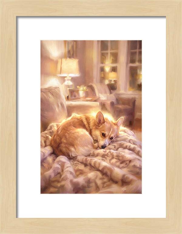 Cuddly Corgi In Warm Glow