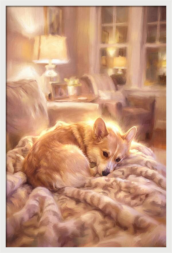 Cuddly Corgi In Warm Glow