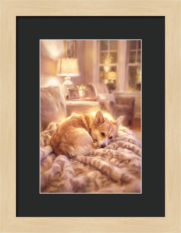 Cuddly Corgi In Warm Glow