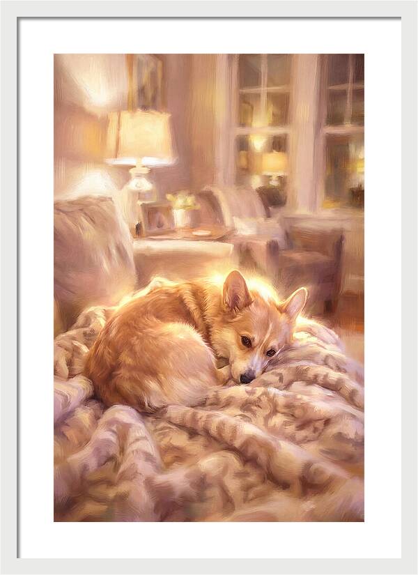Cuddly Corgi In Warm Glow