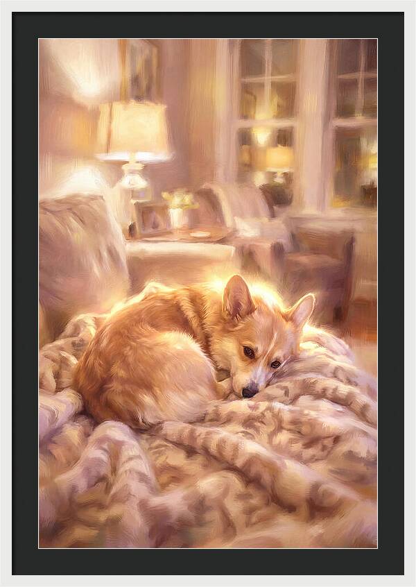 Cuddly Corgi In Warm Glow