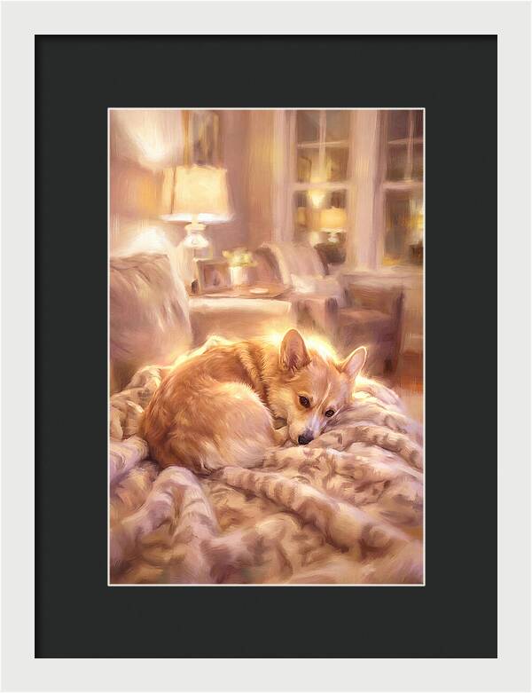 Cuddly Corgi In Warm Glow