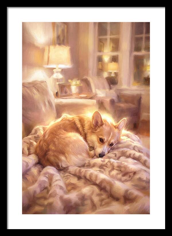 Cuddly Corgi In Warm Glow