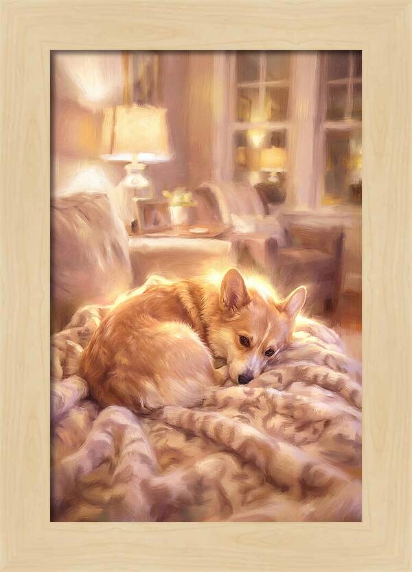 Cuddly Corgi In Warm Glow
