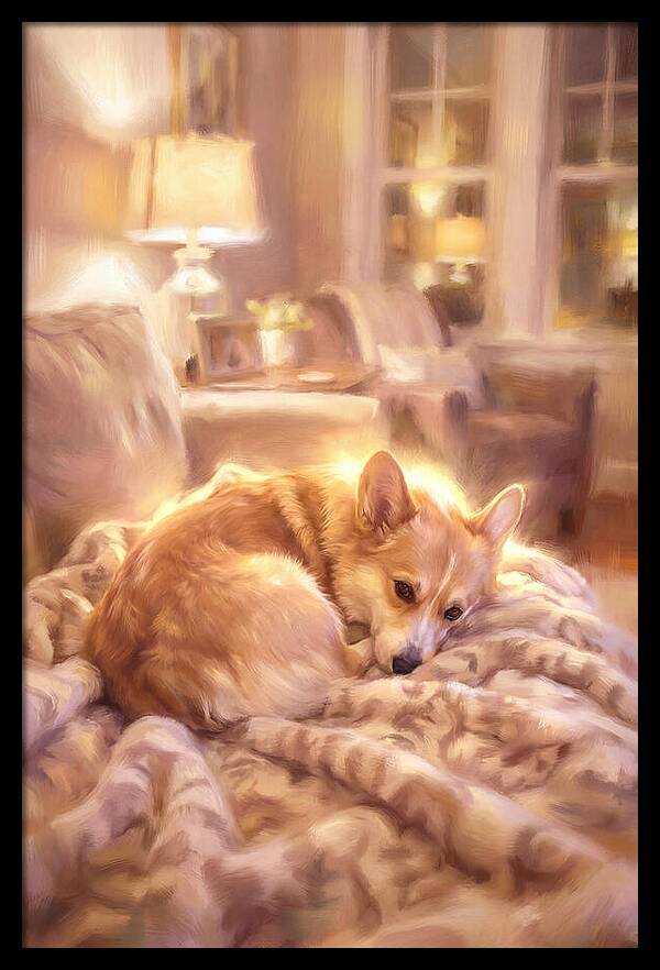 Cuddly Corgi In Warm Glow