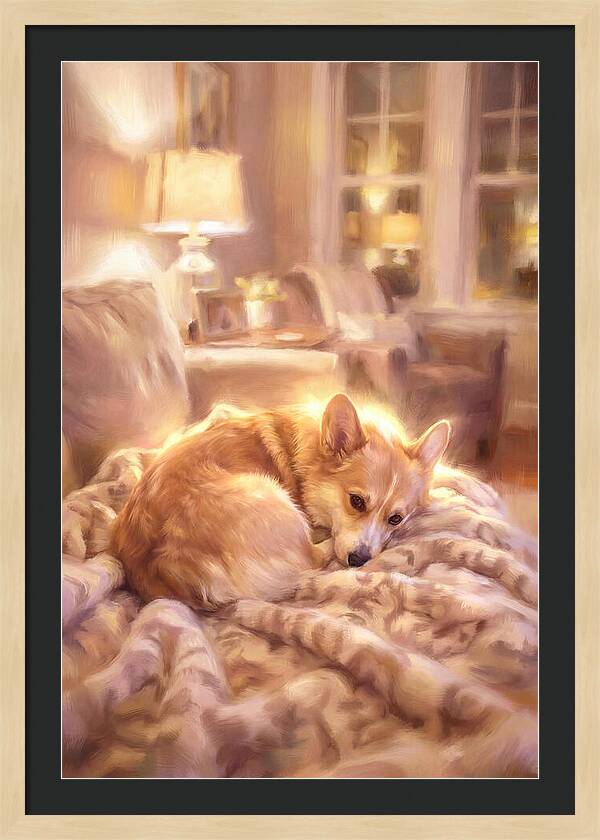 Cuddly Corgi In Warm Glow