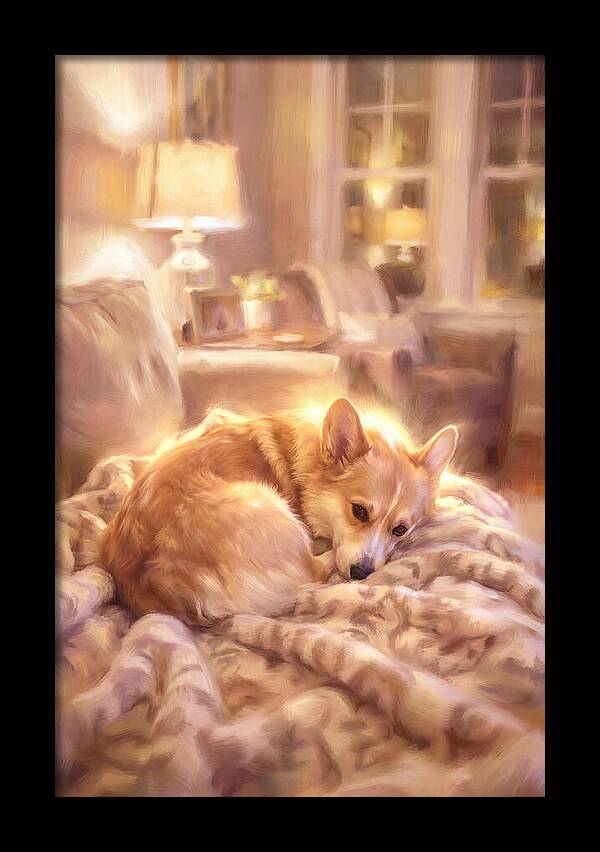 Cuddly Corgi In Warm Glow