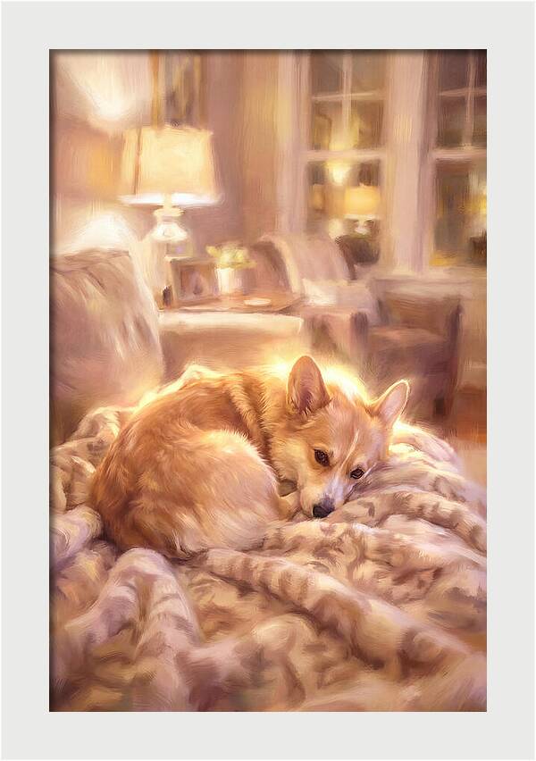 Cuddly Corgi In Warm Glow