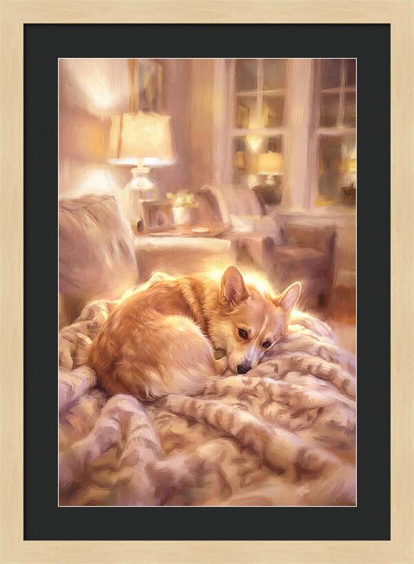 Cuddly Corgi In Warm Glow