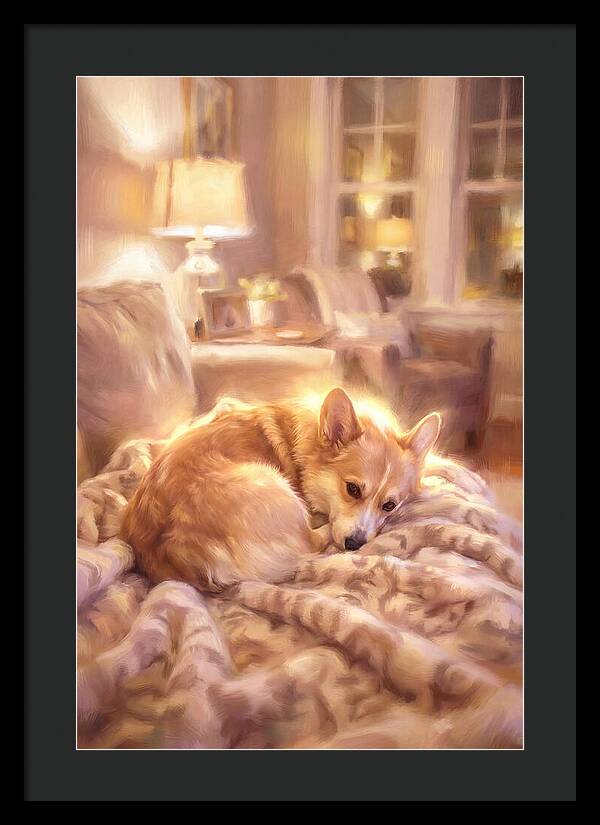 Cuddly Corgi In Warm Glow
