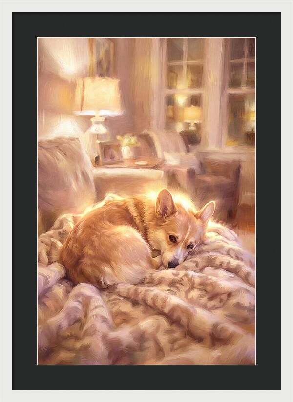 Cuddly Corgi In Warm Glow