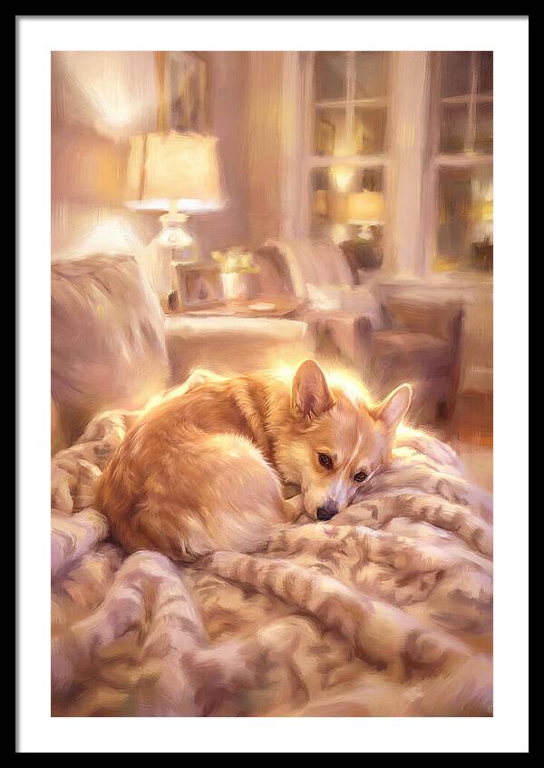 Cuddly Corgi In Warm Glow