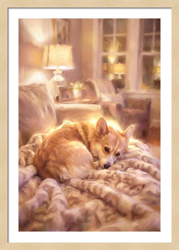 Cuddly Corgi In Warm Glow