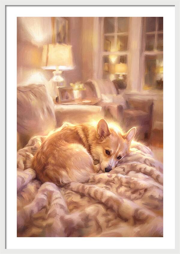 Cuddly Corgi In Warm Glow