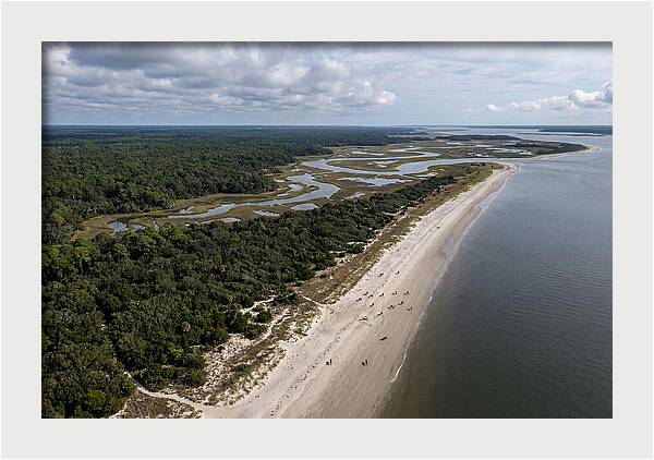 Cumberland Island Serenity From Above
