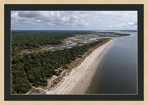 Cumberland Island Serenity From Above