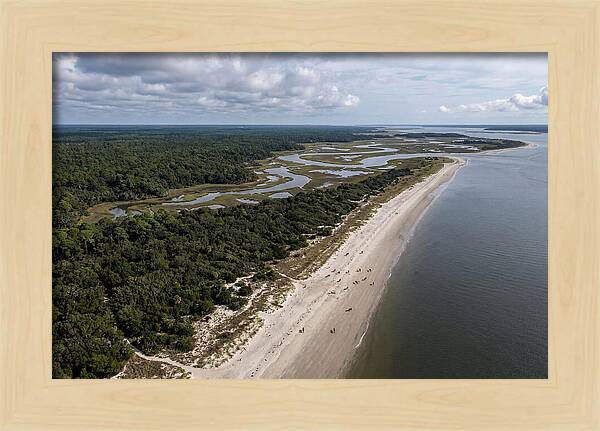 Cumberland Island Serenity From Above