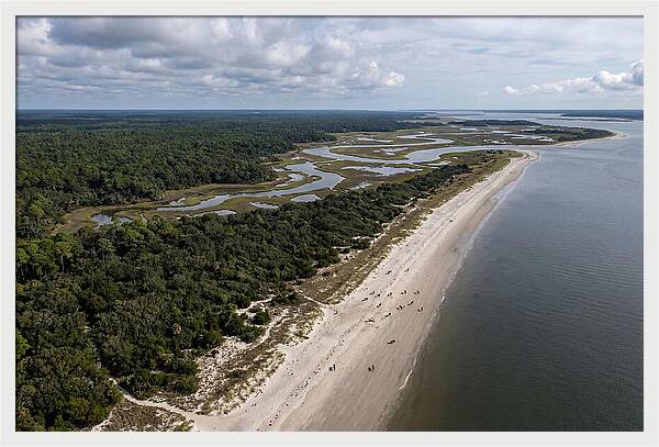 Cumberland Island Serenity From Above