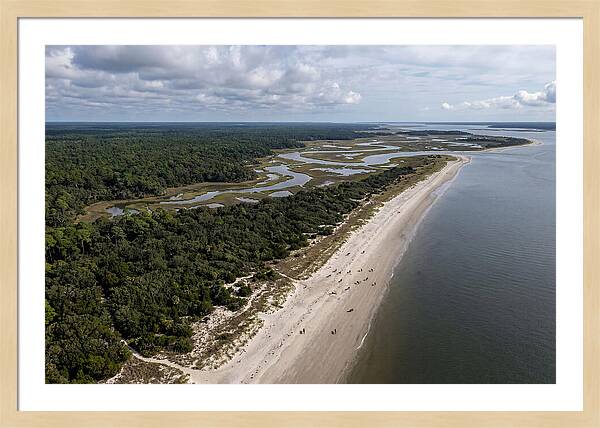 Cumberland Island Serenity From Above