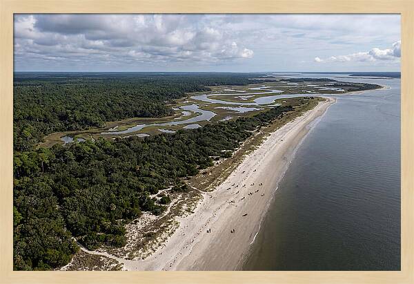 Cumberland Island Serenity From Above