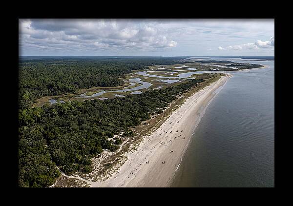 Cumberland Island Serenity From Above