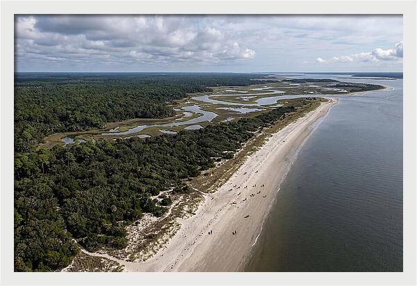 Cumberland Island Serenity From Above