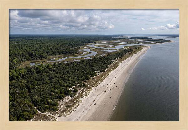Cumberland Island Serenity From Above