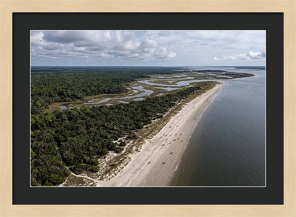 Cumberland Island Serenity From Above