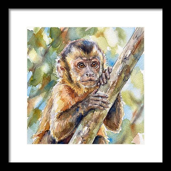 Curious Monkey In Nature