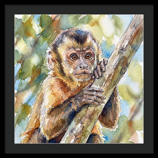 Curious Monkey In Nature
