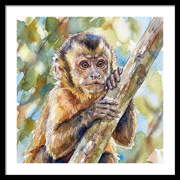 Curious Monkey In Nature