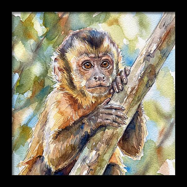 Curious Monkey In Nature