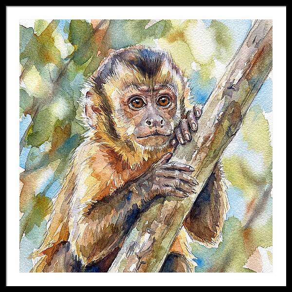 Curious Monkey In Nature