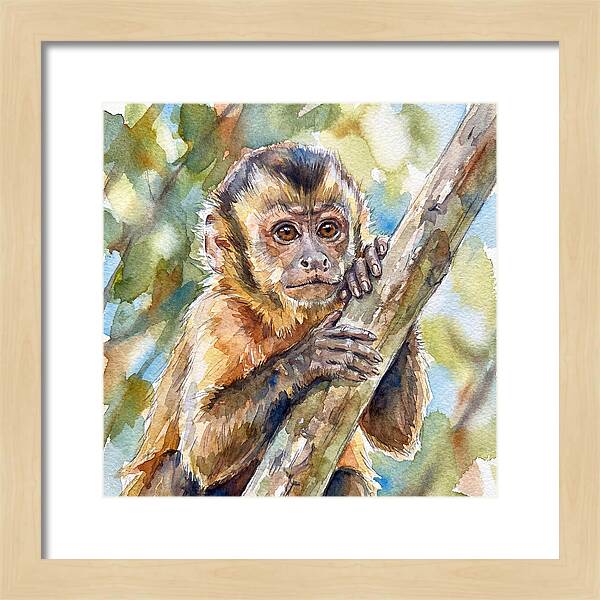 Curious Monkey In Nature
