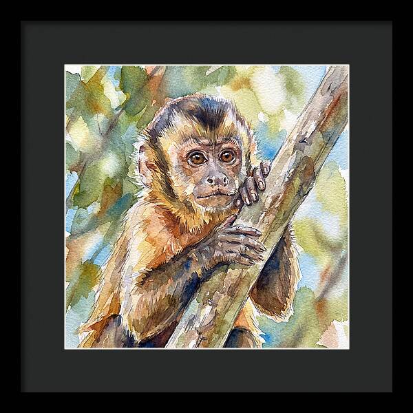 Curious Monkey In Nature