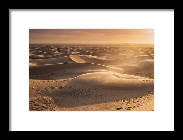 Curonian Spit Dune Vista