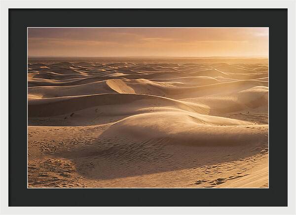Curonian Spit Dune Vista