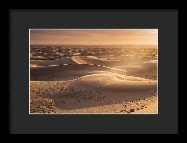 Curonian Spit Dune Vista