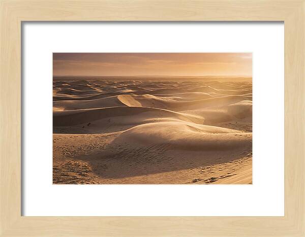 Curonian Spit Dune Vista